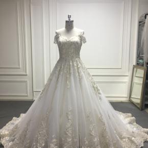 Off the Shoulder Golden Lace Applique Sequin Tulle Underneath Ball Gown